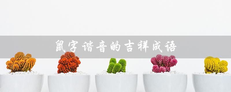 鼠字谐音的吉祥成语（石字谐音吉祥成语是什么）