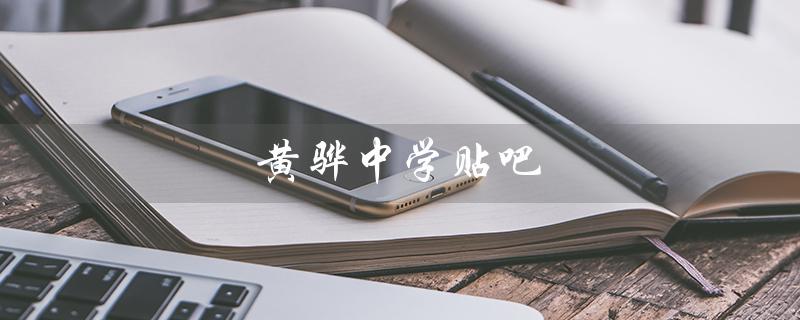 黄骅中学贴吧（黄骅中学贴吧有孙秀霞老师吗）